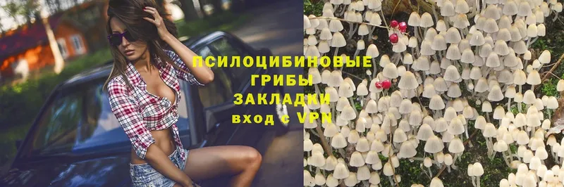 Псилоцибиновые грибы MAGIC MUSHROOMS  Бугульма 